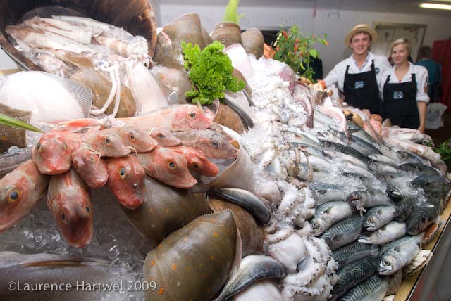 Image result for newlyn gaps fish festival