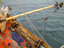 DSCF0195