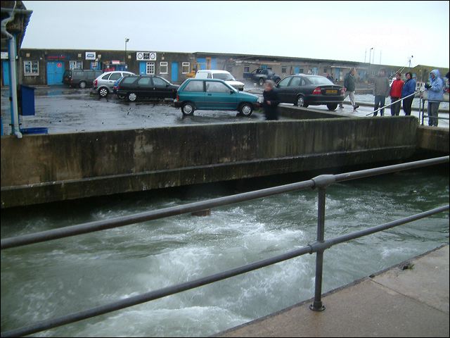 07.jpg