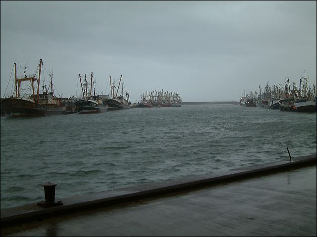09.jpg