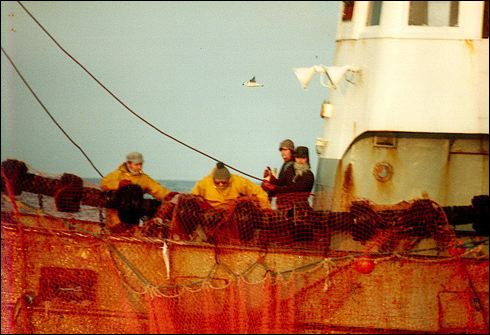 scan206.jpg