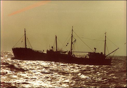 scan207.jpg