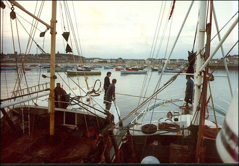 scan218.jpg