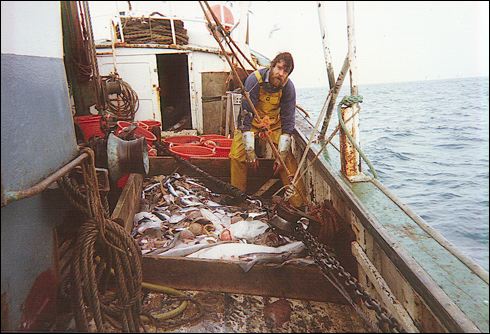 scan31.jpg