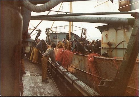 scan87.jpg
