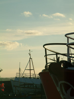 DSCF0098
