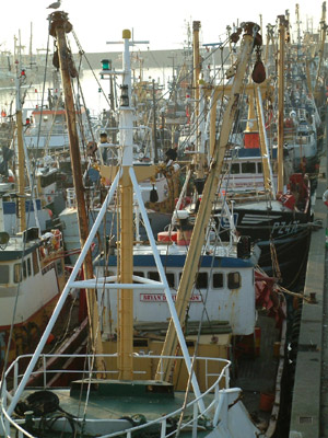 newlyn12003_0417AX
