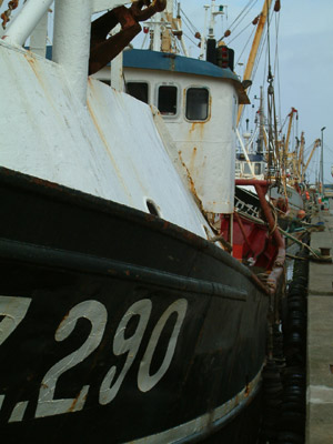newlyn2003_0517CC