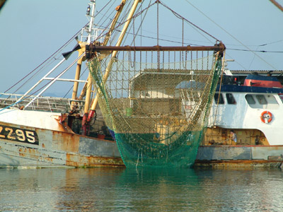 newlynh2003_0529AA