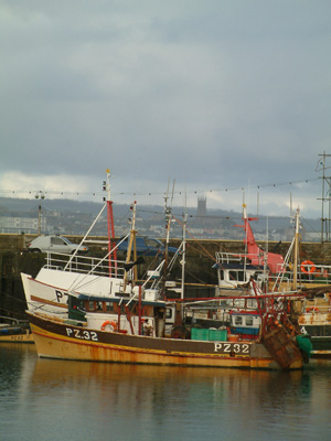 DSCF0107