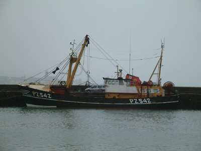 DSCF0299