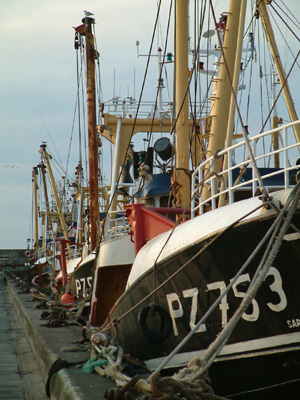 newlyn2003_0813BC