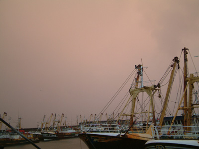 DSCF0008