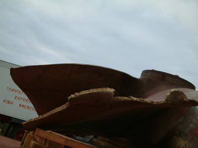 DSCF0036