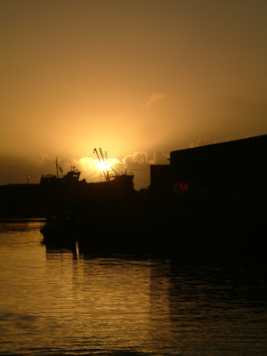 DSCF0061