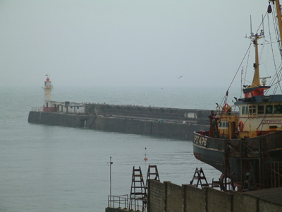 DSCF0321