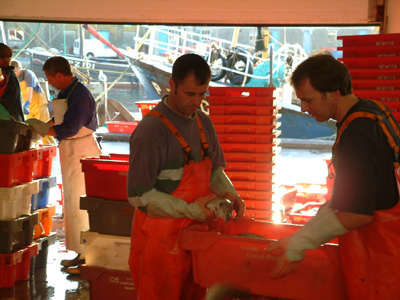 market2003_0814BC
