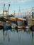 DSCF0024